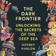 The Dark Frontier