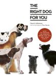 The Right Dog for You