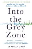 Into the Grey Zone