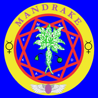 mandrake